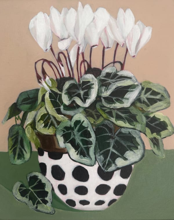 Cyclamen in a Bowl