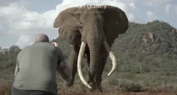 Lars Beusker, Amboseli