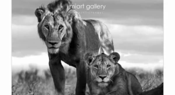 Lars Beusker, Tsavo