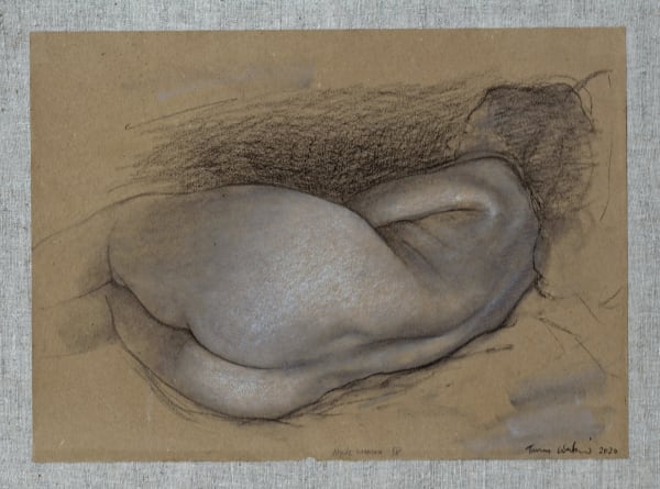 Tomas Watson, Nude Woman IV, charcoal and conte on paper mounted on linen, 35 x 45 cm, 2020
