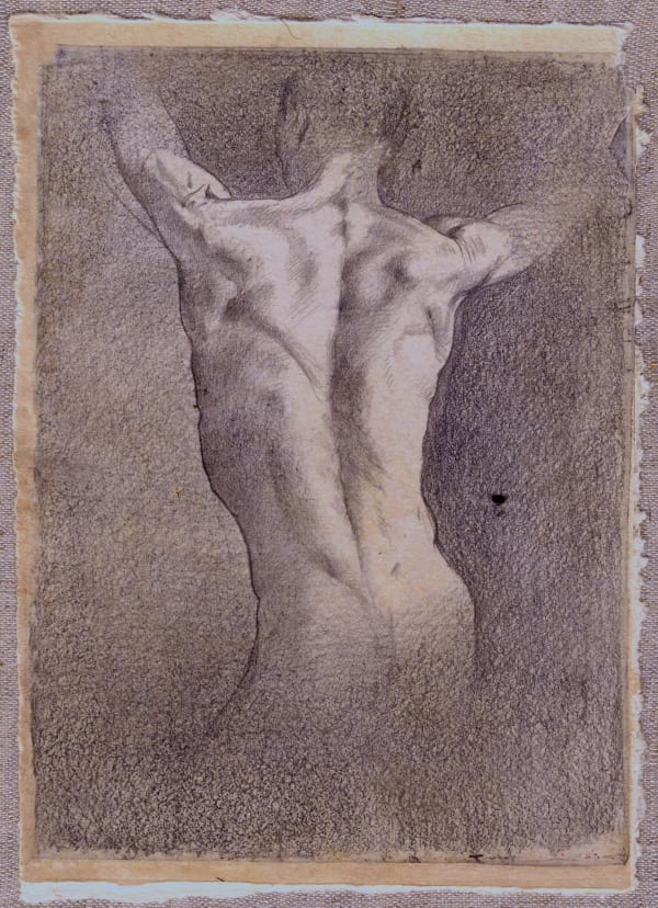 Tomas Watson, Kormos, Back Study, pencil on paper, 30 x 24 cm, 2021