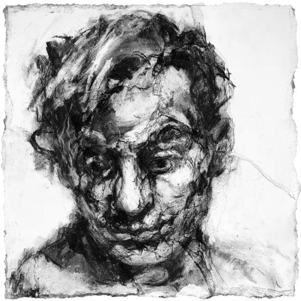 Alison Lambert, Petruccio, charcoal and pastel on paper, 51 x 51 cm, 2020