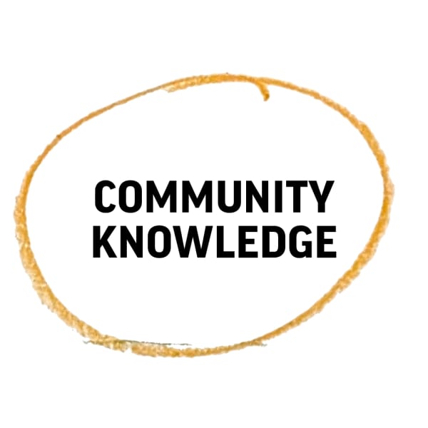 Centring lived experience as expertise.