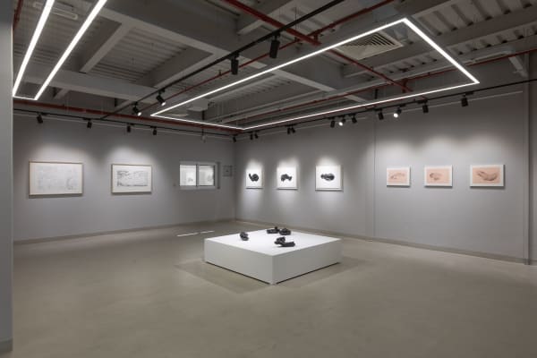 20220112 In Aa Installation 9