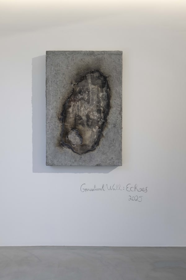 2025 Nov Aaa Installation 8079