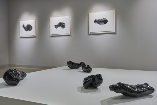 20220112 In Aa Installation 14