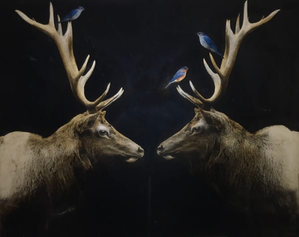 Anke Schofield Surreal Mixed Media