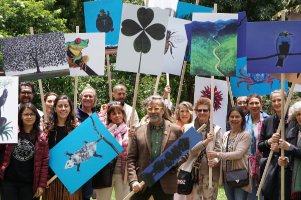 46873137965 B340Da92B1 O