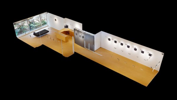 Painted Numismatics Dollhouse View