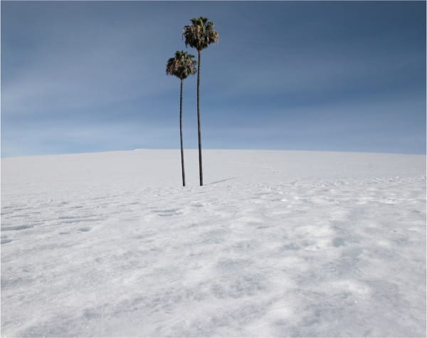 Max Steven Grossman, Antartica No. 1, ed. of 5, 2010, digital print and plexiglass, 127 × 139.7 cm