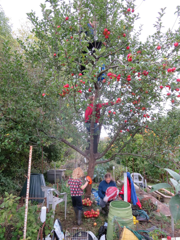 Open Space - November 2025