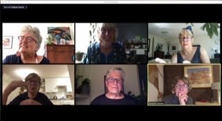 CANI-net zoom session at ICQI 2021