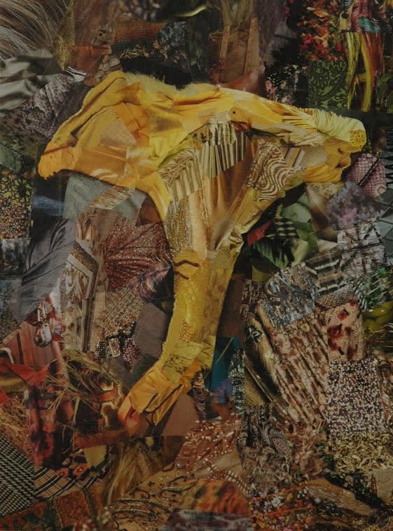 SIMON LEAHY-CLARK Fungi XIII 40.5 x 30 cm Collage £795