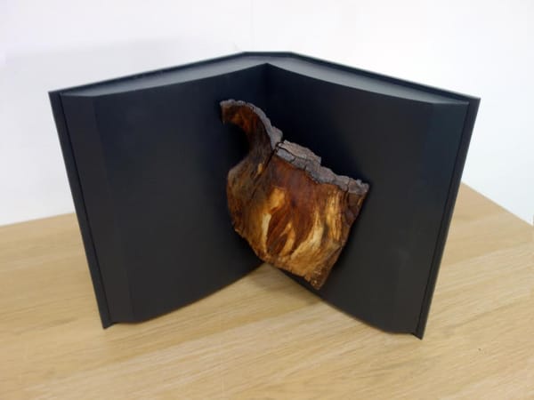 BILL WATSON Slip of the Tongue 23cm x w: 36cm x d: 17cm Wood & tree bark £520-00