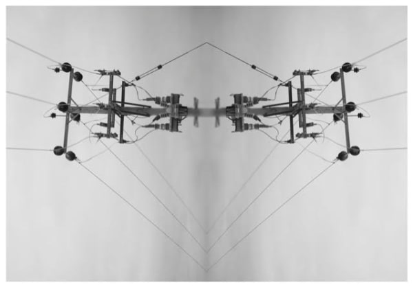 LILY HEYWOOD Sparassidae 43cm x 53.5cm Digital photograph (framed) limited edition print x5 £275