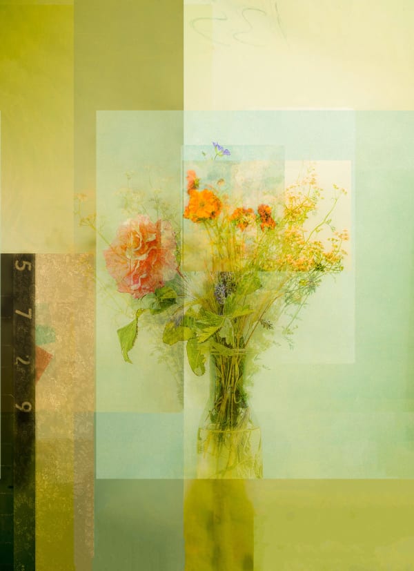 Phil Miller 'Flowers From My Garden' Collage, Print on Rag paper 35 x 60cm £275