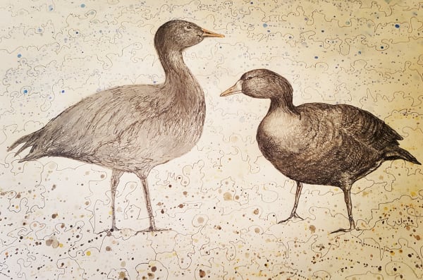 Penny Berkeley The Geese 2023 35 x 50cm pencil and pen £150