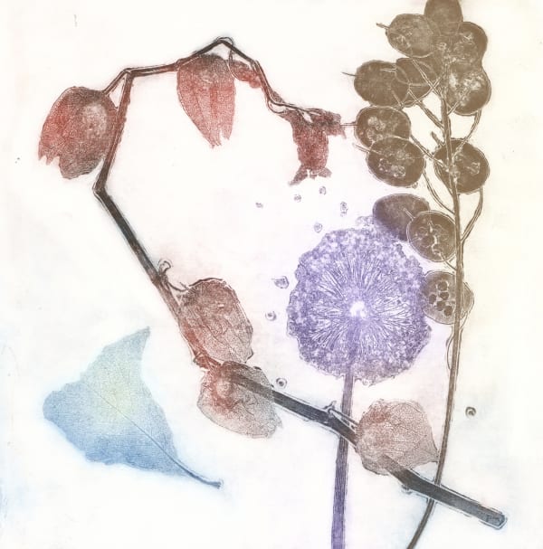 Janet Wilson COLOUR GARDEN II Etching Edition 1 of 5 60 x 59cm £250 (framed) £200 (unframed)