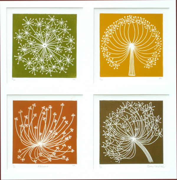Elaine Marshall ALIUMS Linocuts Edition 5 of 20 50 x 50cm £350 (framed) £270 (unframed)