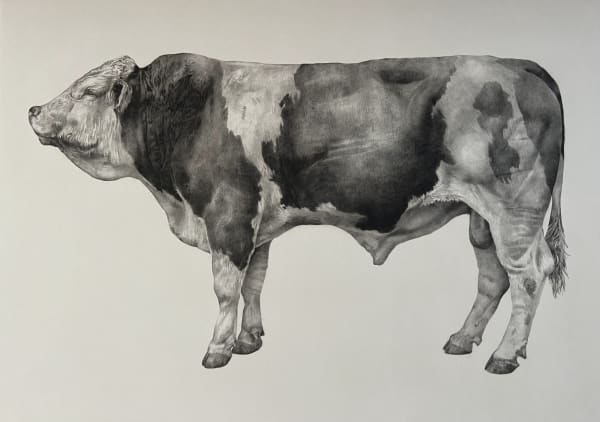 Tammy MacKay THE BULL Photopolymer print Edition 7 of 40 89 x 70cm £500 (framed) £380 (unframed)
