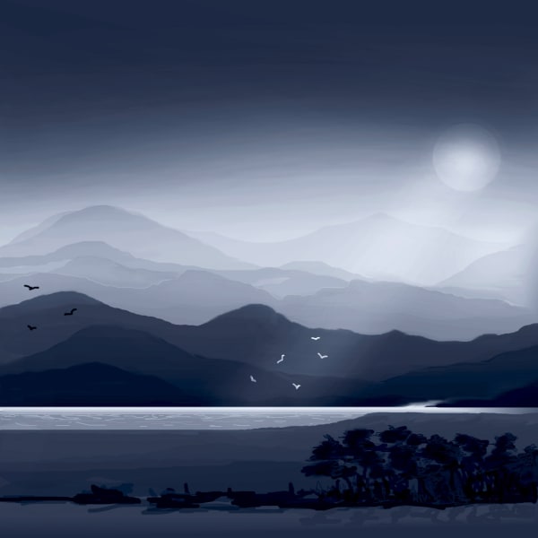 Angela Brookes NIGHT FLIGHT Photopolymer Gravure Edition 20 of 50 40 x 40cm £210 (framed) £160 (unframed)