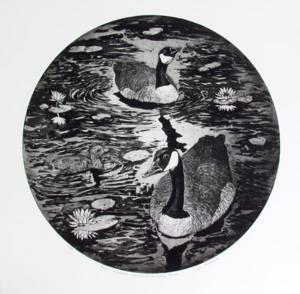 Tim Mitchell NORTH GREENWICH PENINSULA ECOLOGY PARK Aquatint etching, print Edition 8 of 50 50 x 50cm £335 (framed) £285 (unframed)