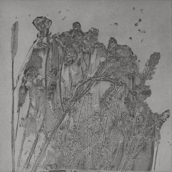 J. Yuen Ling Chiu PLATE No.1 Soft ground etching Edition 2 of 3 50 x 50cm £295