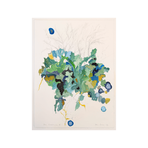John Corley, Sea Cabbage, 2025