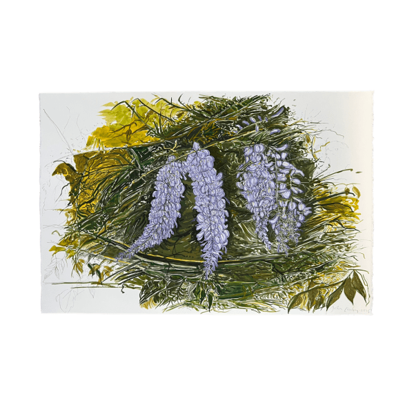 John Corley, Wisteria, 2025