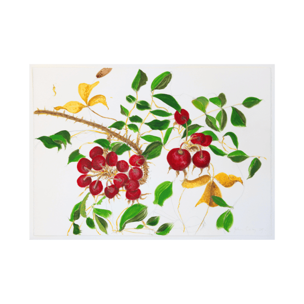 John Corley, Beach Veg, 2025