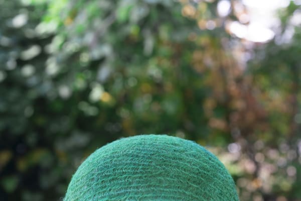 Autumn Dippers, 2020 Archival Inkjet print; 40 x 60”