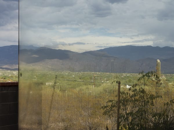 Desert, fly, 2020 Archival Inkjet; 45x60"