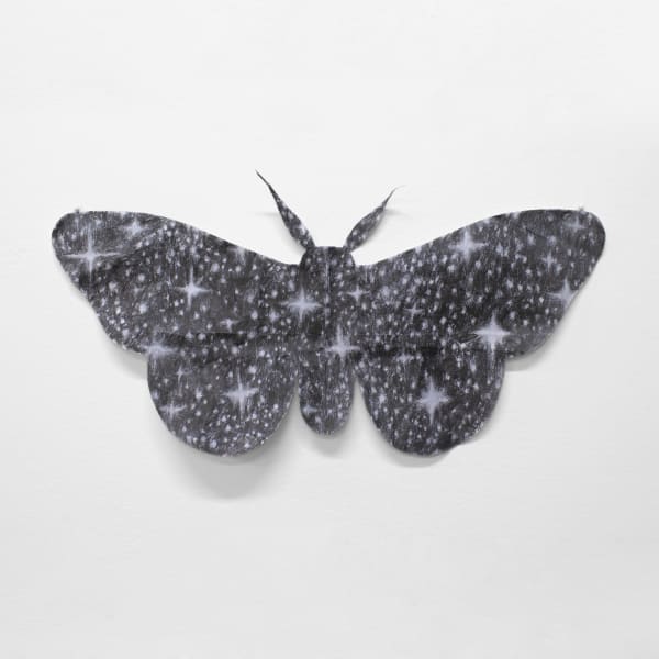 Z.T. Nguyen Painting/Printmaking '25