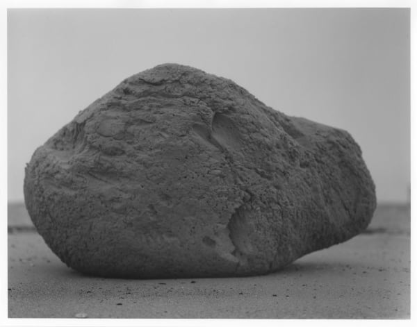 Jessica Tang Photography MFA '22