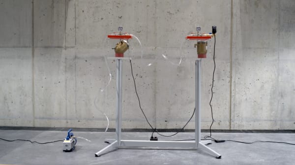 Ivana Dama Sculpture MFA '24