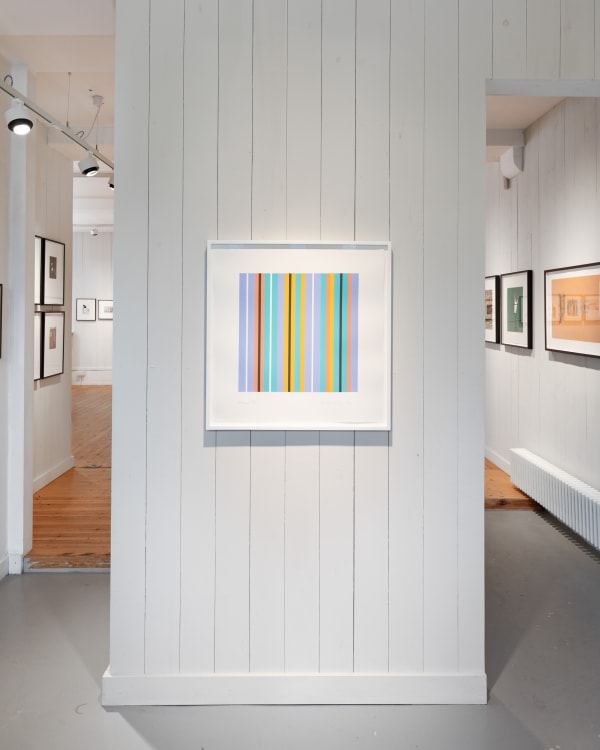 Riley Ritual With Various In Background Install