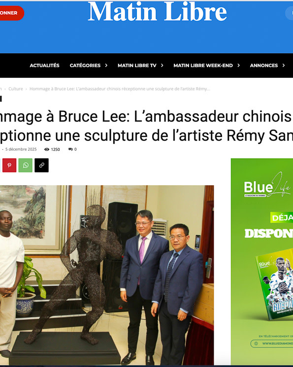 Matin libre Rémy Samuz – OOA Gallery press