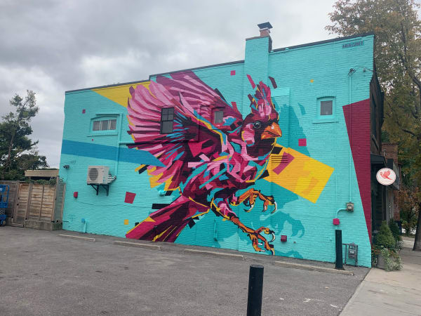 CARDINAL MURAL Arlin Graff