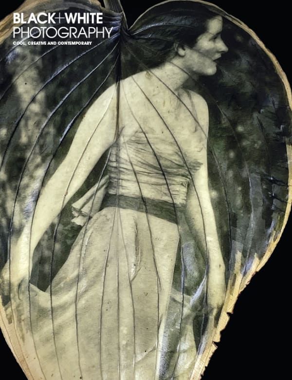 Image © Diana Bloomfield