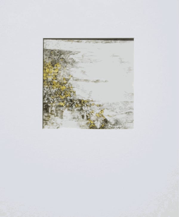 Kate Lloyd, Soft Waves - Contemporary 1, 2021