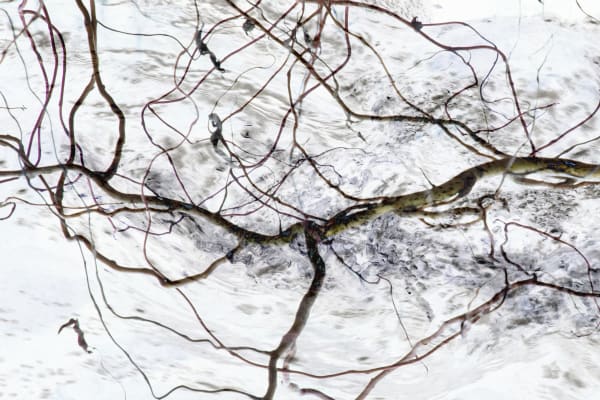 Kate Lloyd, Rushing River, 2021