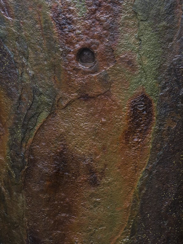 Kate Lloyd, Rusty Horse, 2018