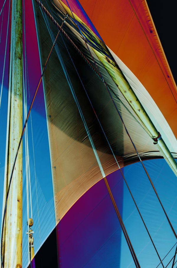 Kate Lloyd, Rigging, 2022