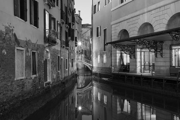 Kate Lloyd, La Fenice in Black and White, 2020