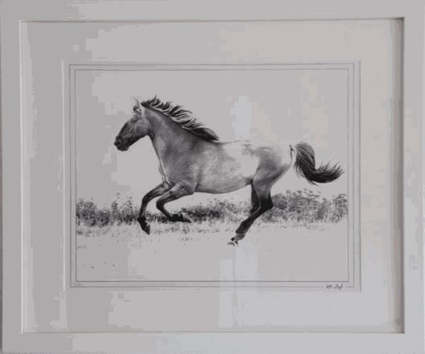 Kate Lloyd, Soraya Infrared, Framed - Ex Display