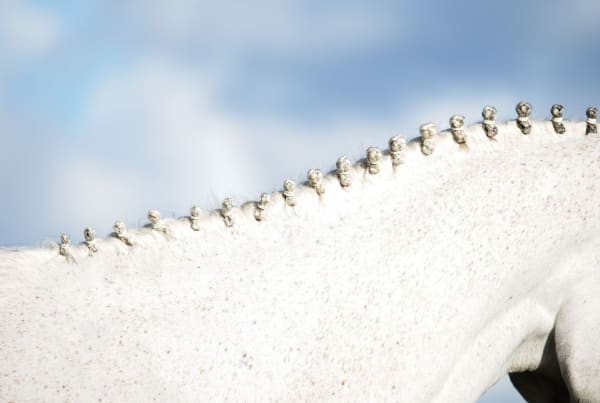 Kate Lloyd, Knots, 2018