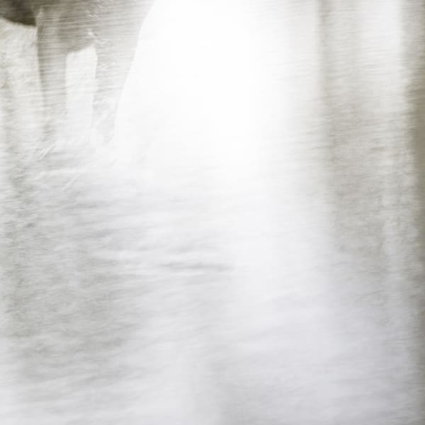Kate Lloyd, Resilience, 2021