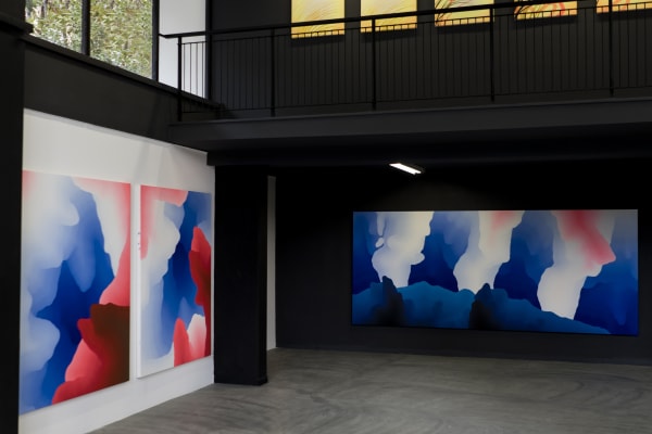 Dh Samfriedman Island 2020 Installation 04