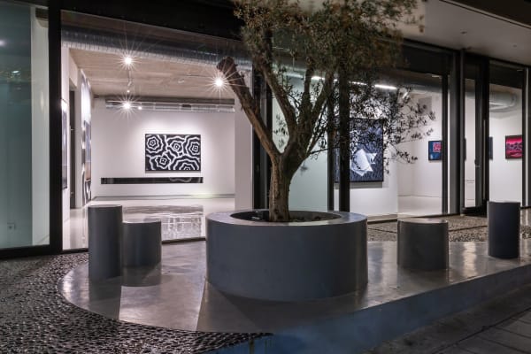 Dh Spleen Laure Mary Coue Gnias 2024 Installation View 14