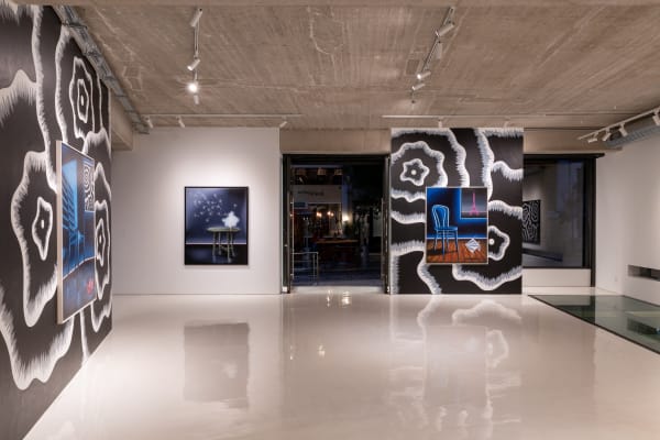 Dh Spleen Laure Mary Coue Gnias 2024 Installation View 5